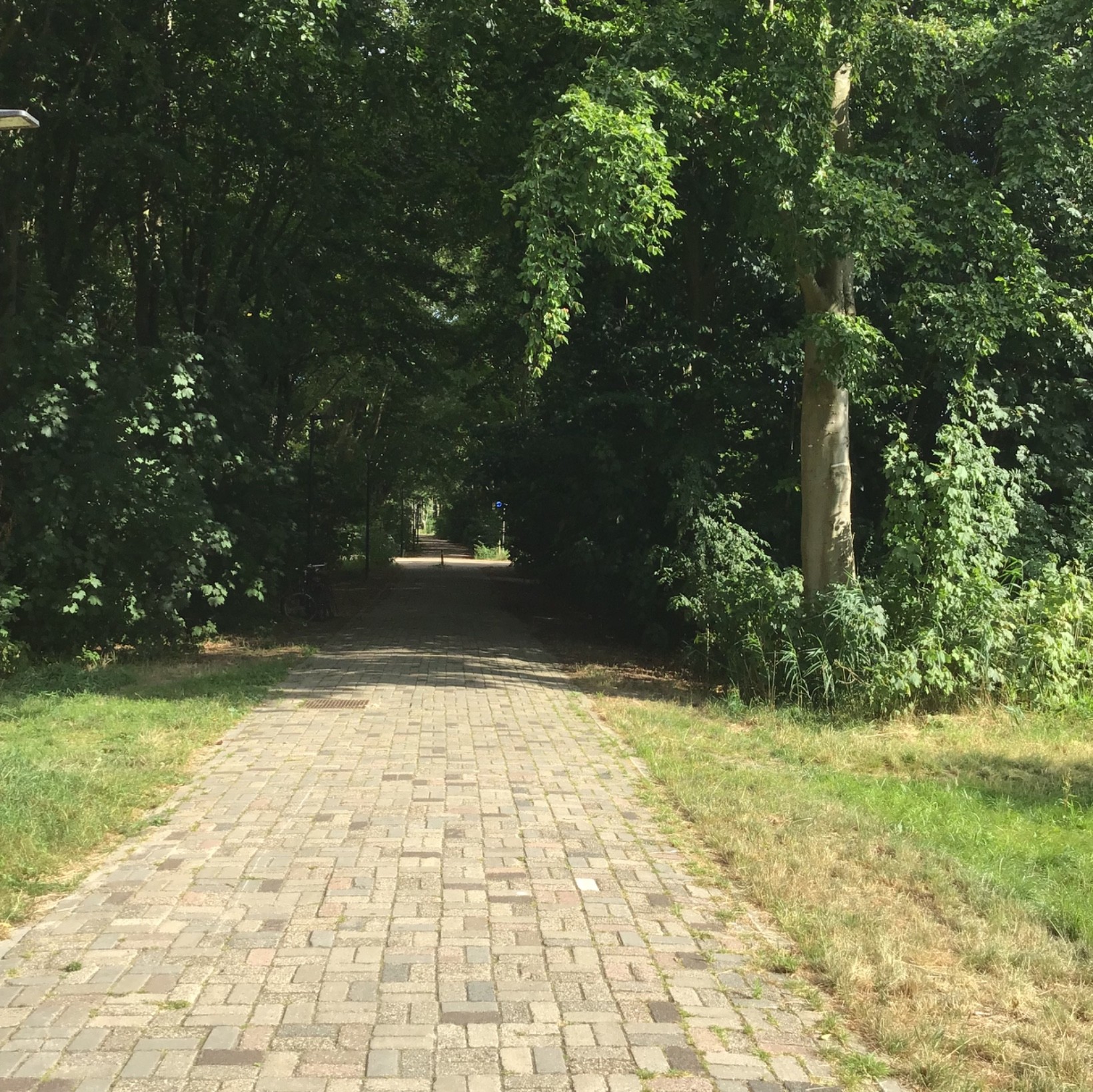 Tussenwoning te koop: Duinvoetstraat 29, Almere