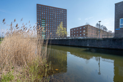 Polenstraat 232