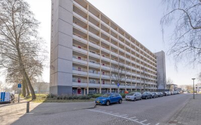 Gemeenschap. 207