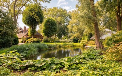 Winkeldijk 43