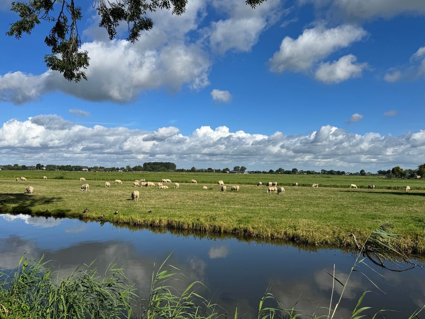 Hoekwoning te koop: Pieter de Hooghlaan 1, Nederhorst Den Berg