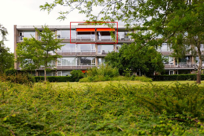 Lijsterlaan 231