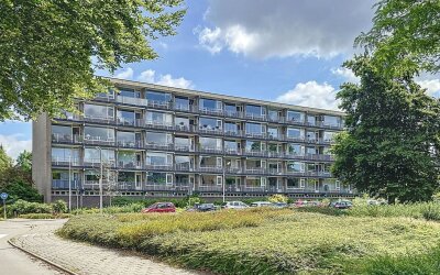 Lijsterlaan 291