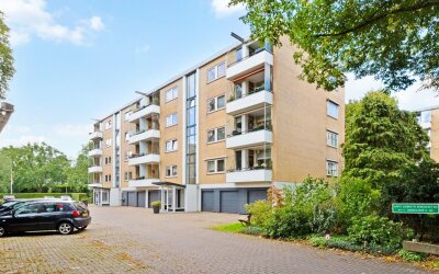 Merelhof 45