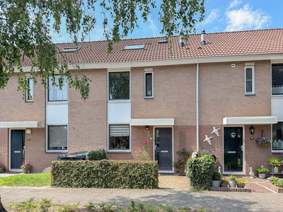 Schout 123