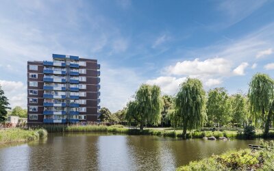Boterbloem 43