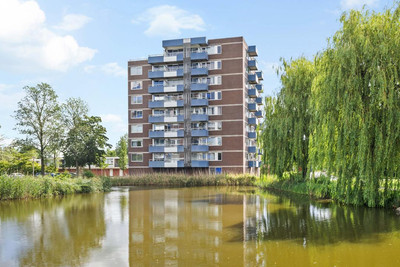 Boterbloem 84