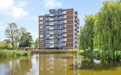 Boterbloem 84