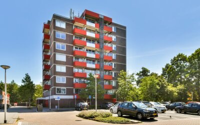 Zilverschoon 12