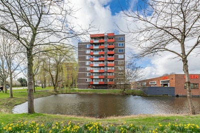 Zilverschoon 41