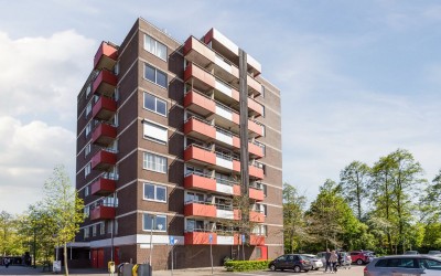Zilverschoon 52