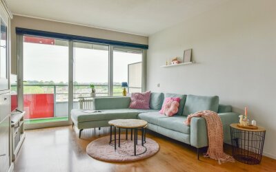 Zilverschoon 55