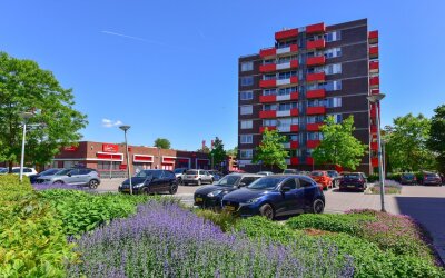Zilverschoon 66
