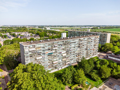 Brusselflat 47