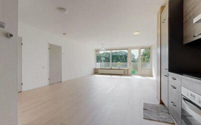Brusselflat 47