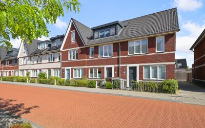 Knobbelzwaan 102