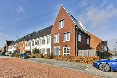 Knobbelzwaan 131
