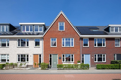 Knobbelzwaan 64