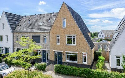 Knobbelzwaan 7