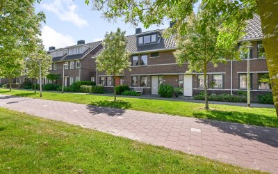 Veldmuis 40