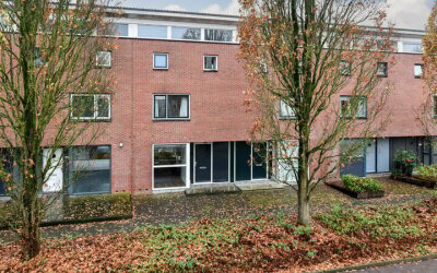 Bruine Lijster 16