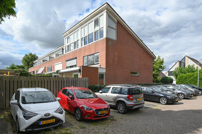 Noorse Lijster 11