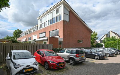 Noorse Lijster 11