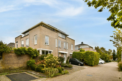Witkopeend 9