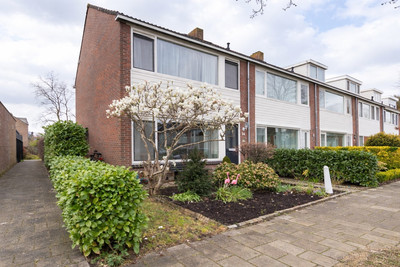 Gozewijnstraat 24