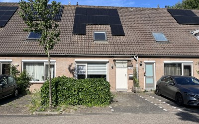 Pinksterbloem 90