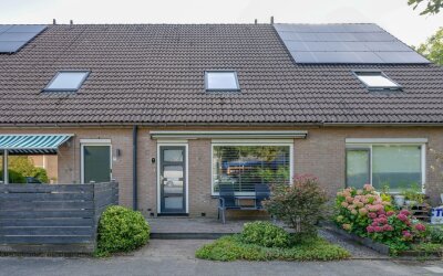 Boterbloem 1-C
