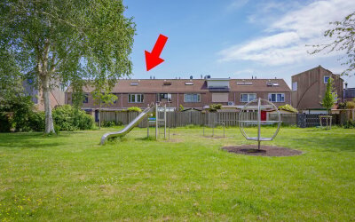 Hoefblad 6