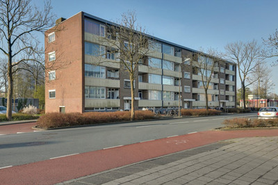 Van IJsendi. 24