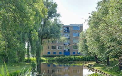 Flevostraat 243