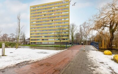 Boeierstraat 219