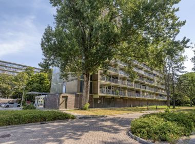 Westervenne 246