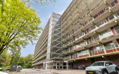 Westervenne 307