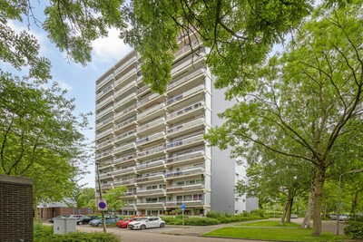 De Roerdomp 18