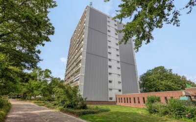 De Roerdomp 44