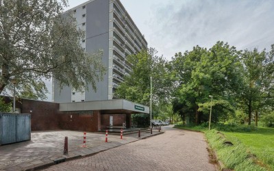 De Roerdomp 77