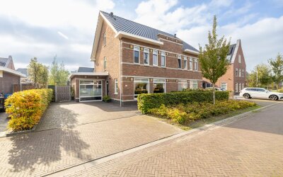Vlinderslag 50