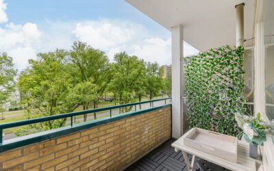 Spaansgroenstraat 16
