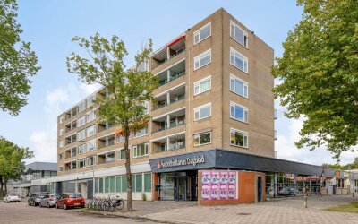 Spaansgroen. 24