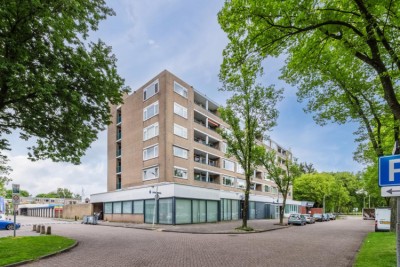 Spaansgroen. 50