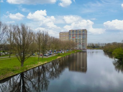 Oost-Dorsch 133