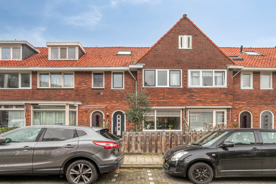 Lijsterbess. 54