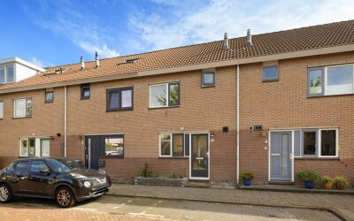 Ameland 55