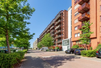 Vurehout 305