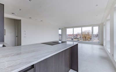Mahoniehout 397