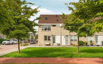 Bronsveen 1